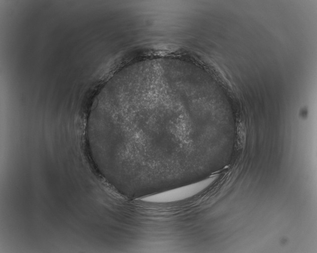 X0000116870657201001191724