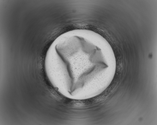 X0000116870658201001191724