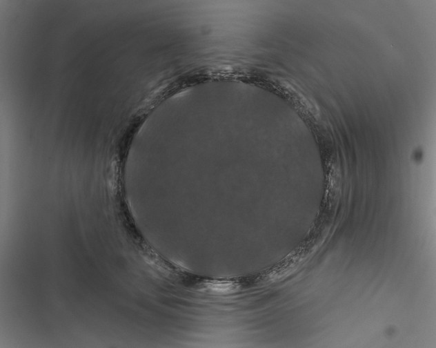 X0000116870659201001191724