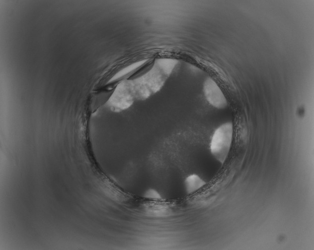 X0000116870661201001191724