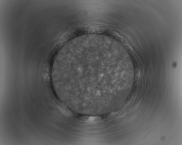 X0000116870663201001191724