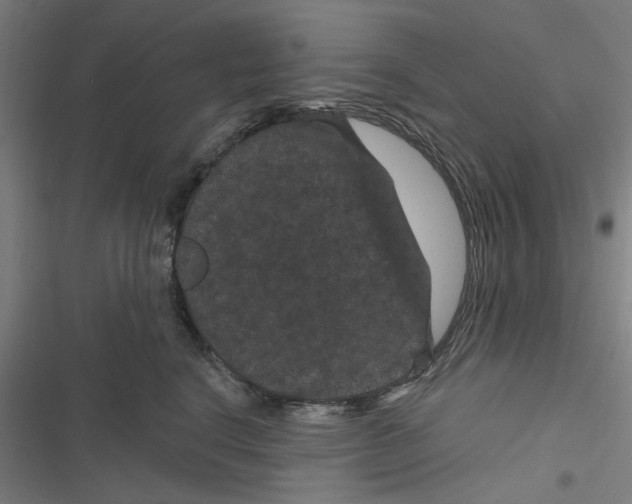 X0000116870664201001191724