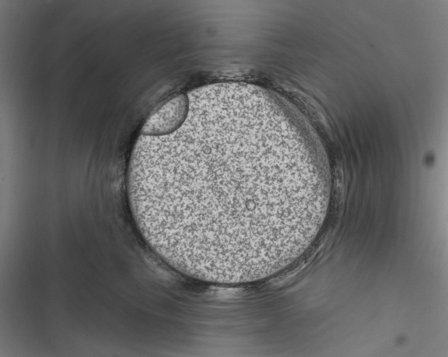 X0000116870665201001191724