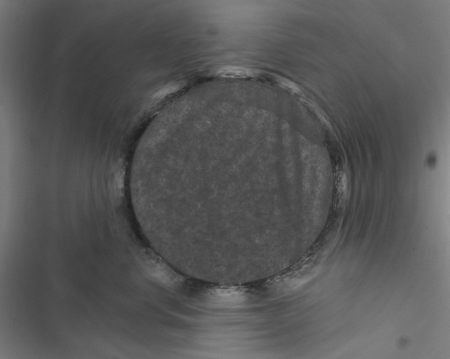 X0000116870668201001191724