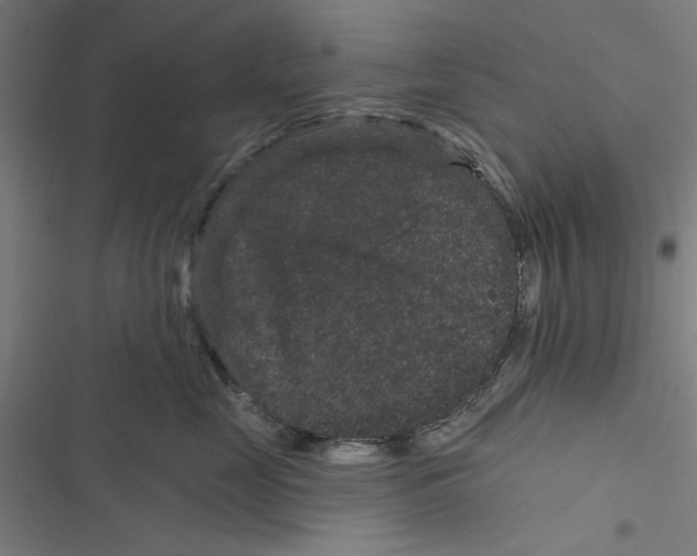 X0000116870669201001191724
