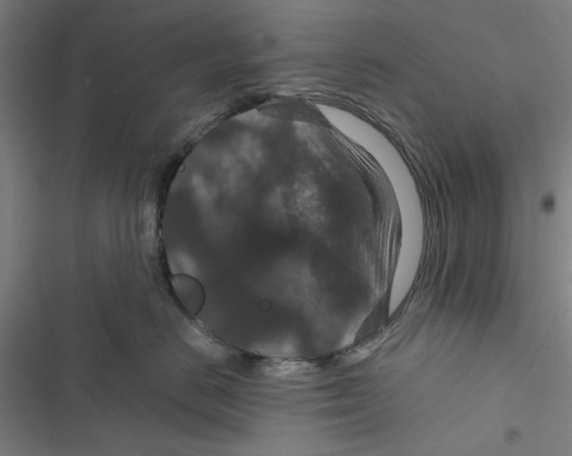 X0000116870670201001191724