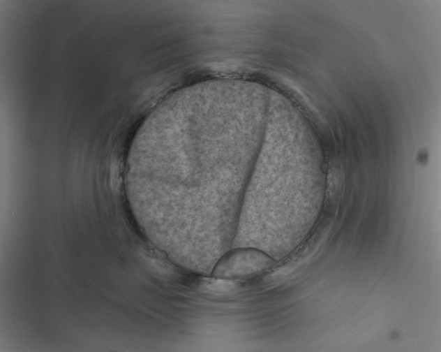 X0000116870671201001191724