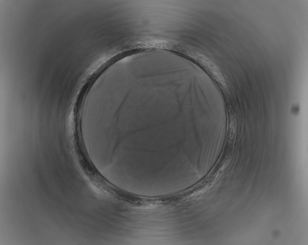 X0000116870674201001191723