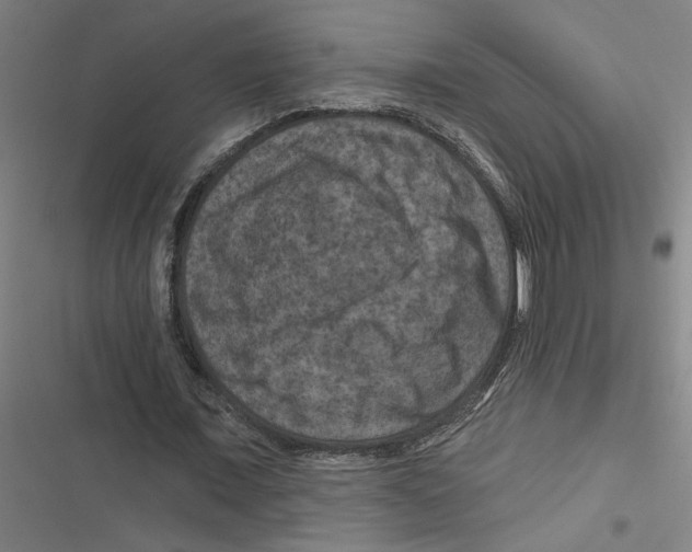 X0000116870675201001191723