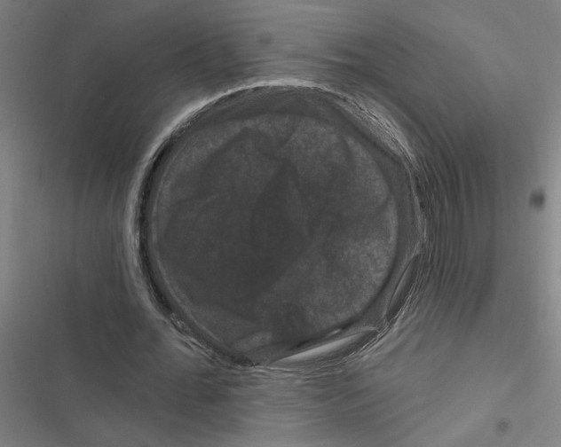 X0000116870676201001191723