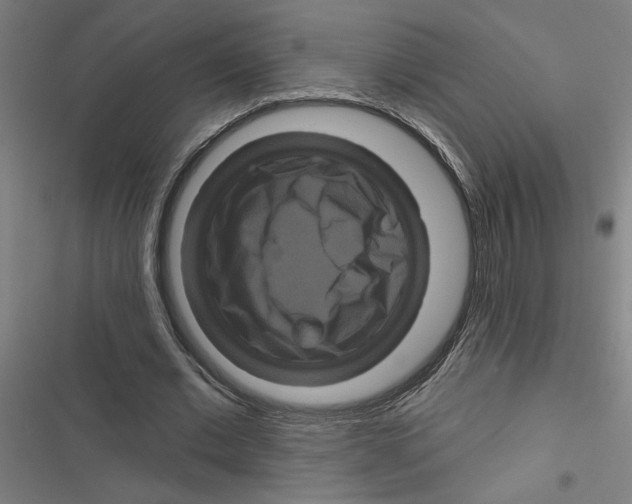 X0000116870677201001191723