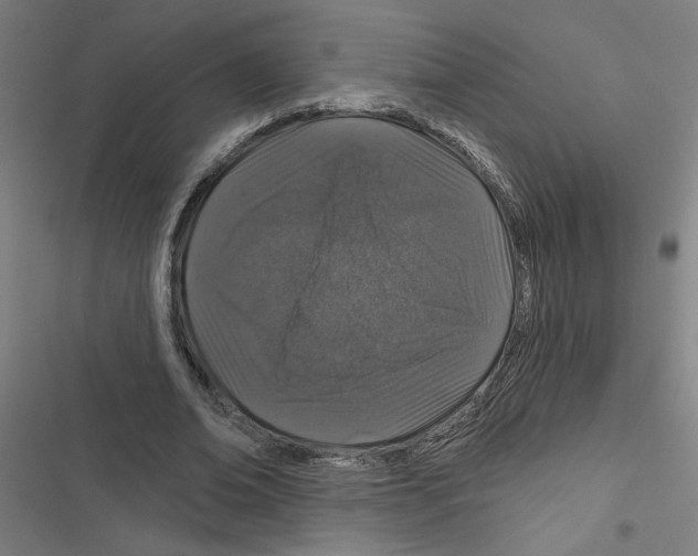 X0000116870678201001191723