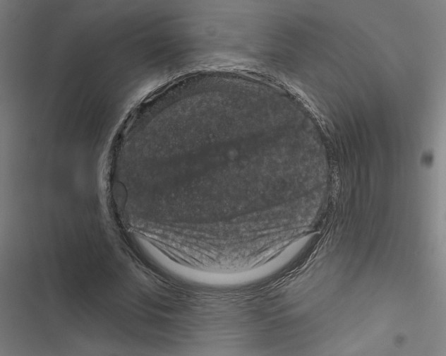 X0000116870679201001191723