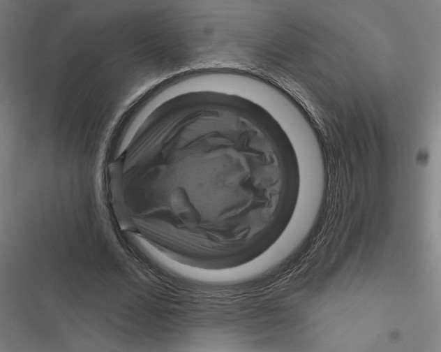 X0000116870680201001191723