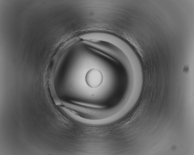 X0000116870681201001191723