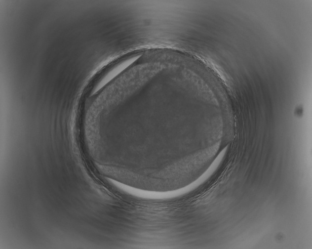 X0000116870684201001191723