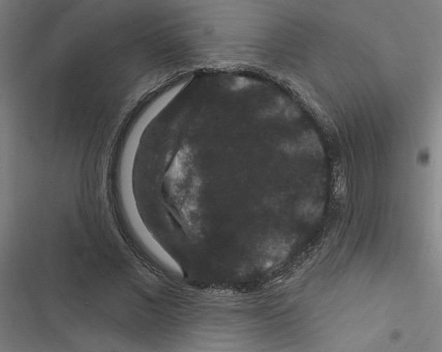 X0000116870685201001191723