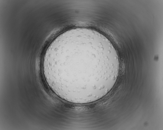 X0000116870686201001191723