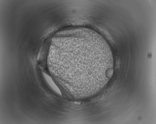 X0000116870687201001191723