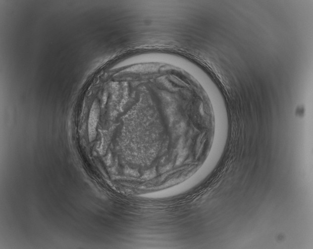 X0000116870688201001191723