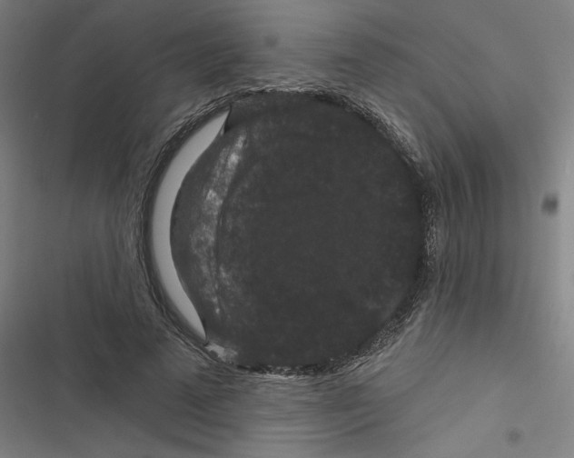 X0000116870689201001191723