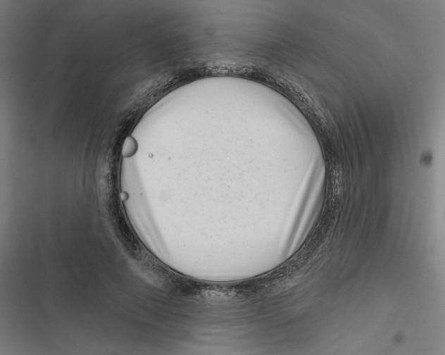 X0000116870690201001191723