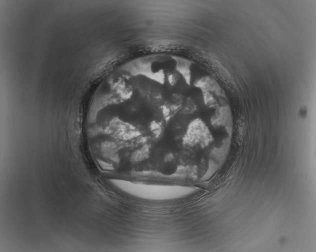 X0000116870691201001191723