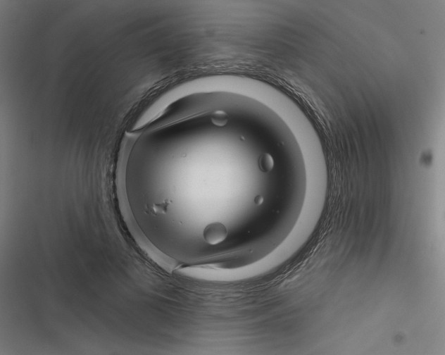 X0000116870693201001191723