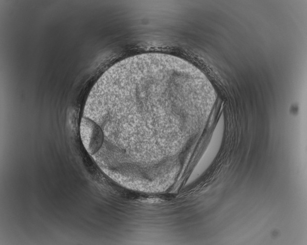 X0000116870695201001191723