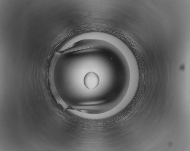 X0000116870696201001191723