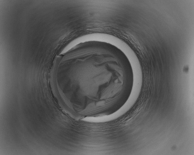 X0000116870697201001191723