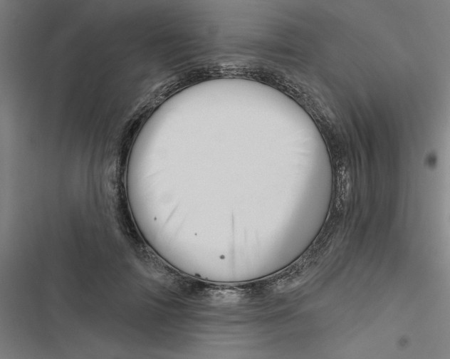 X0000116870698201001191723