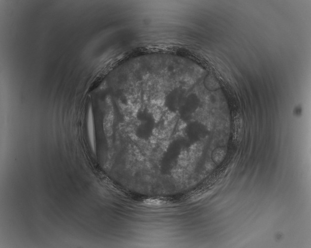 X0000116870699201001191723