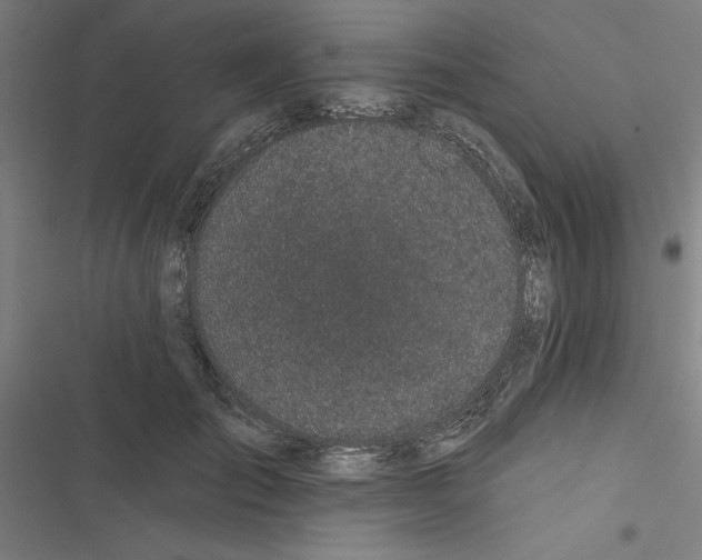 X0000116870701201001191723