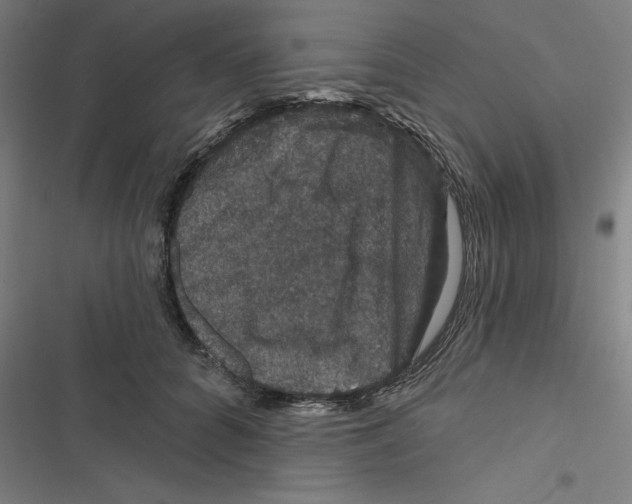X0000116870704201001191723