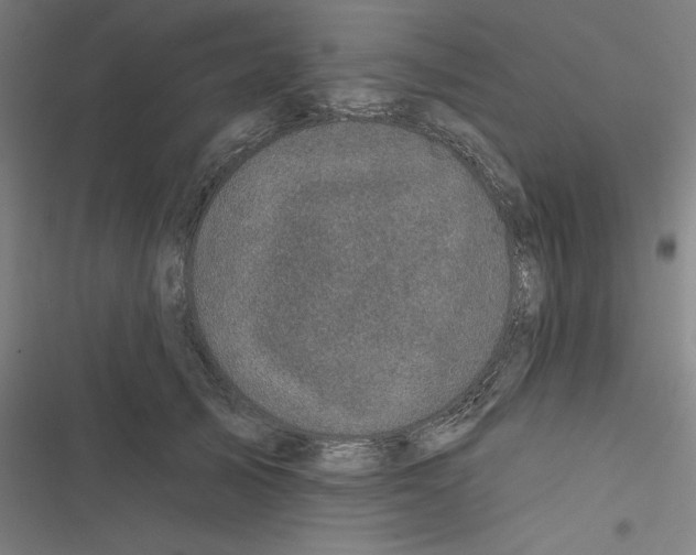 X0000116870705201001191723