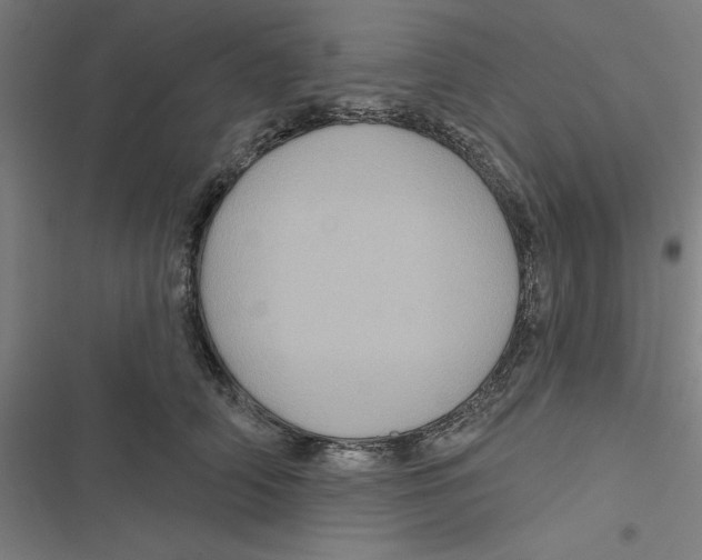 X0000116870706201001191723