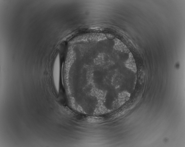 X0000116870707201001191723