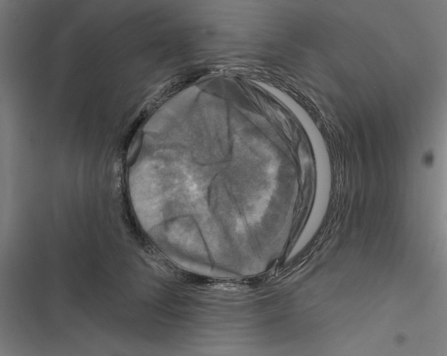 X0000116870708201001191723