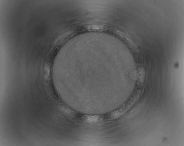 X0000116870709201001191723