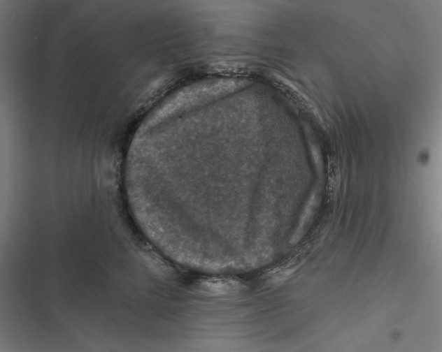 X0000116870712201001191723