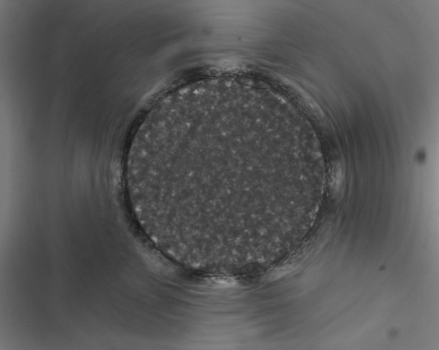 X0000116870715201001191722