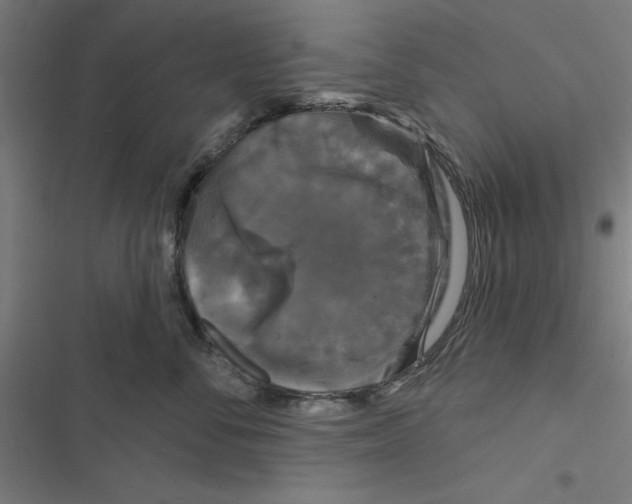 X0000116870716201001191722