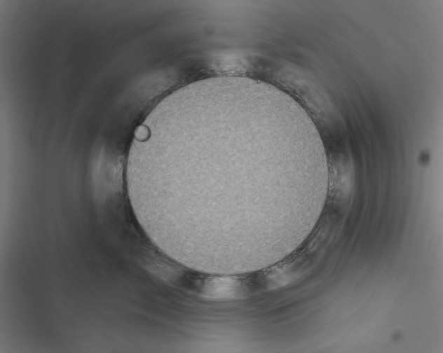 X0000116870717201001191722