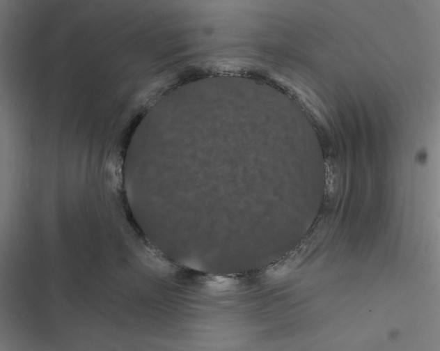 X0000116870718201001191722