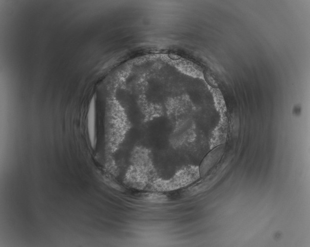 X0000116870719201001191722