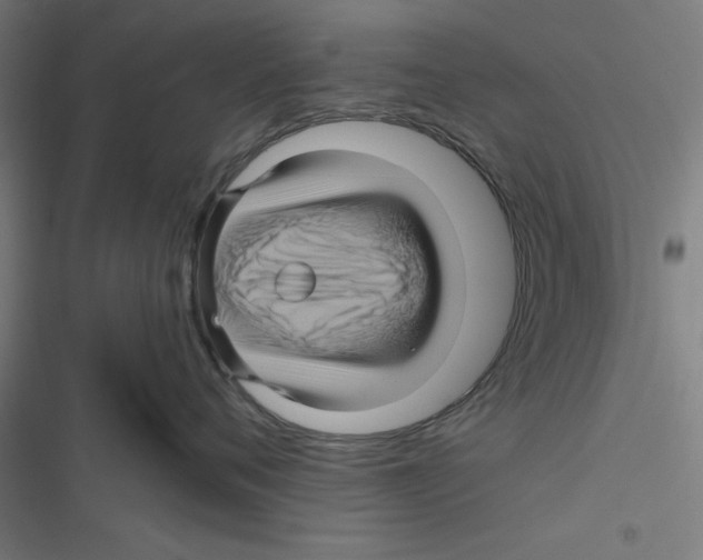 X0000116870720201001191722
