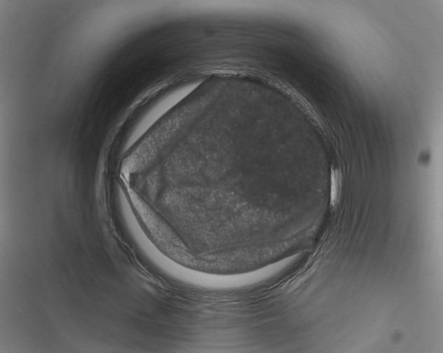 X0000116870723201001191722