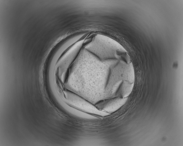 X0000116870727201001191722