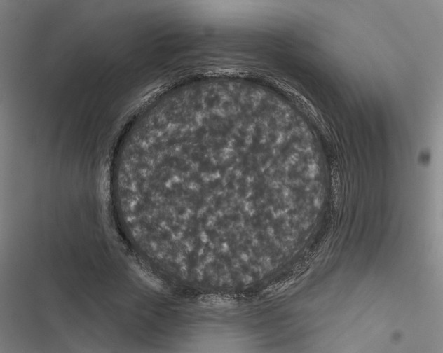X0000116870729201001191722